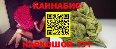 крисы Краснознаменск