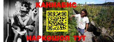 крисы Краснознаменск