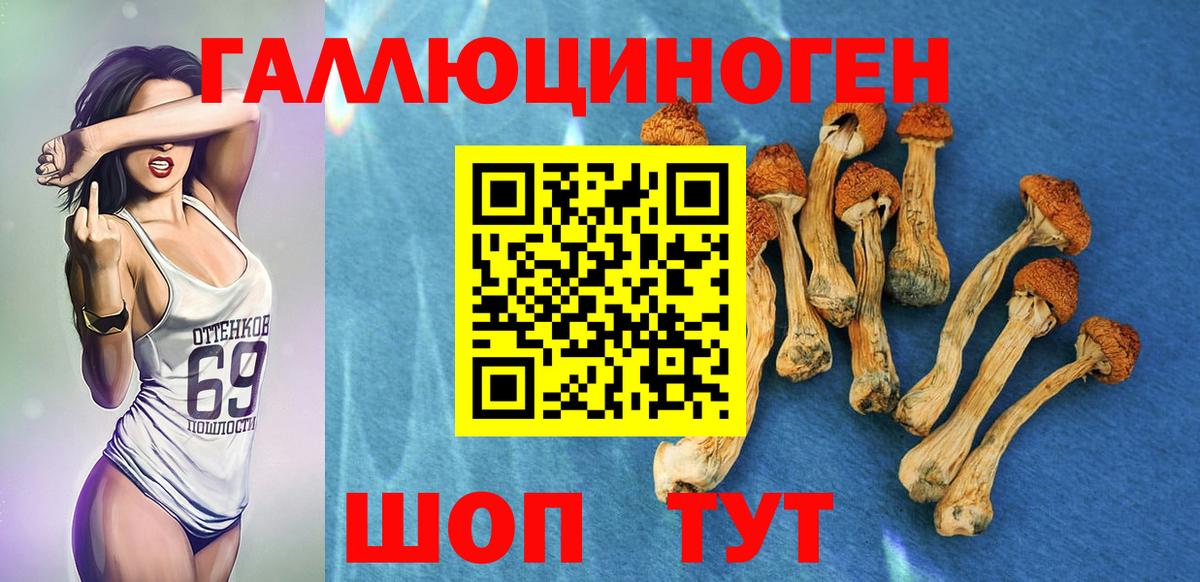 Псилоцибиновые грибы MAGIC MUSHROOMS Сосновоборск